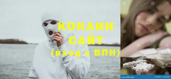 мдпв Сураж
