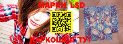 гидропоника Берёзовский