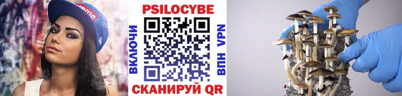 цена   Томск  Галлюциногенные грибы Cubensis 