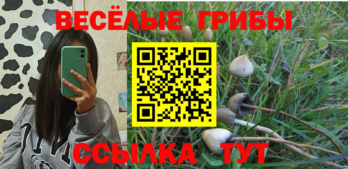 Псилоцибиновые грибы Magic Shrooms Томск