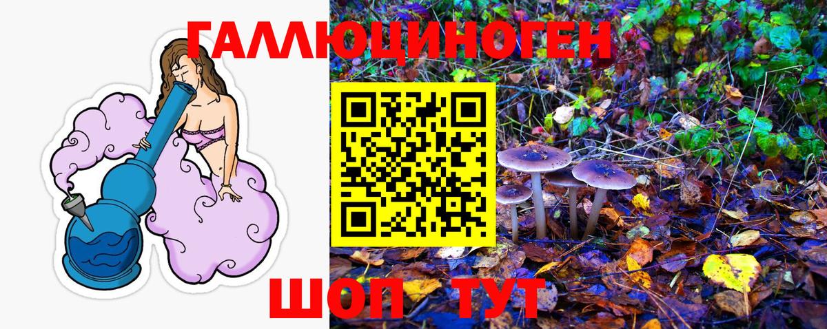 Томск  Галлюциногенные грибы Psilocybine cubensis  Вход с VPN 